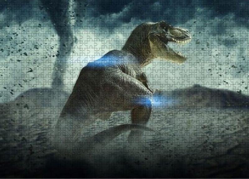 Allosaurus One Piece