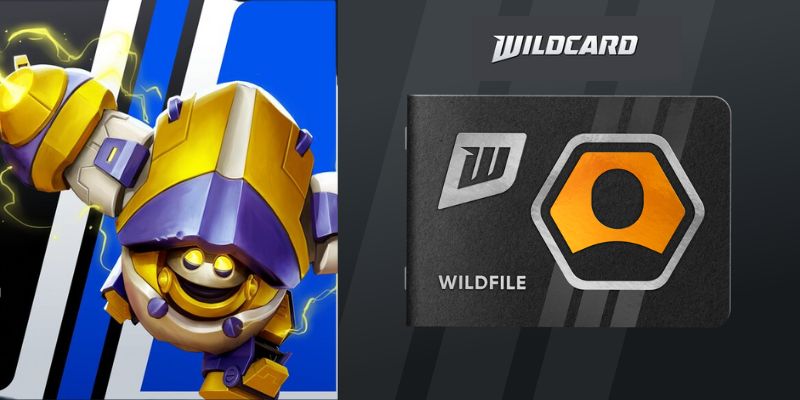 Wildcard trên Steam: Cơ hội tham gia Alpha đóng và kiếm Token WC ngay