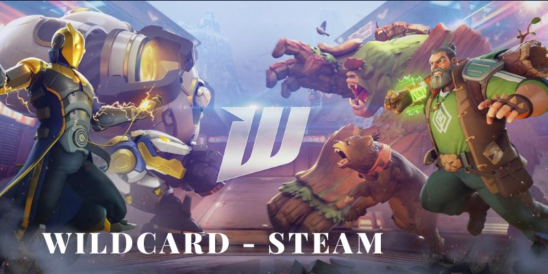 Wildcard trên Steam